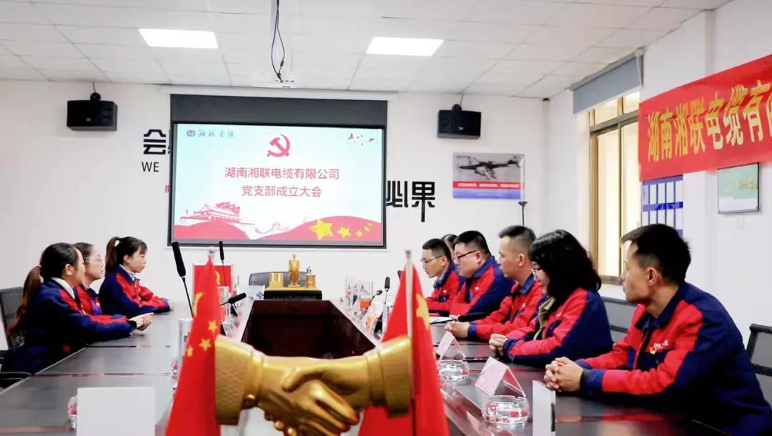 新征程 | 熱烈祝賀湖南湘聯(lián)電纜有限公司黨支部正式成立！